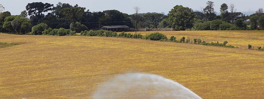 Comissão de Agricultura debate novas tecnologias em feira no Paraná