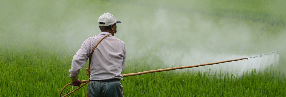 Câmara aprova projeto que altera regras de registro de agrotóxicos